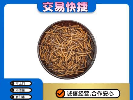峨山县高价回收散虫草
